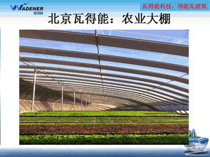 得能瓦 技术剖析与建筑应用案例